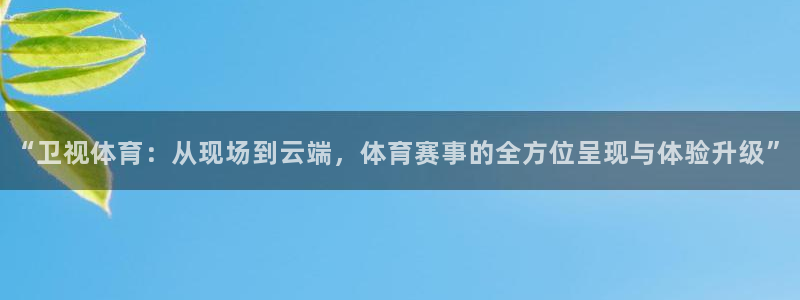 24直播网体育