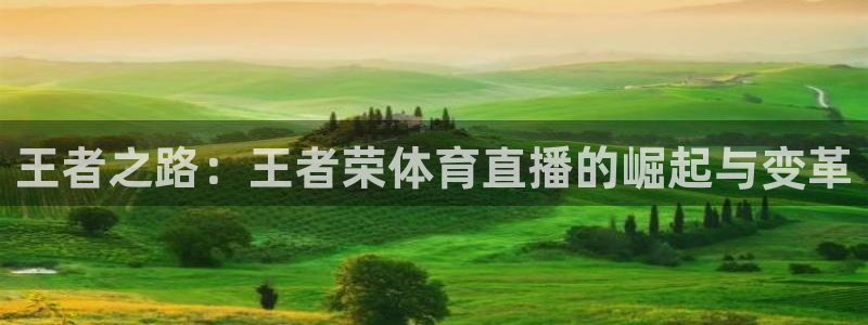 24直播网看足球