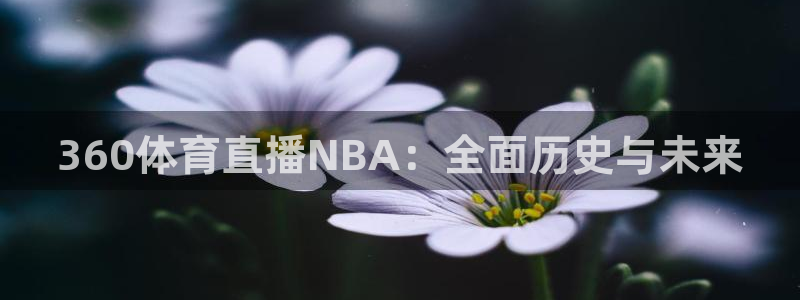 体育直播24直播网
