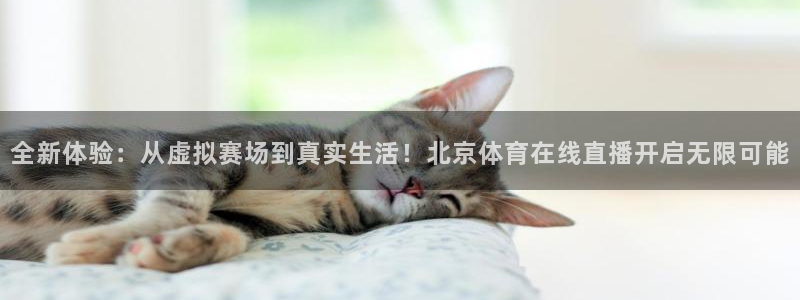 24直播网足球直播