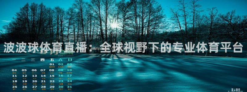 足球24直播网