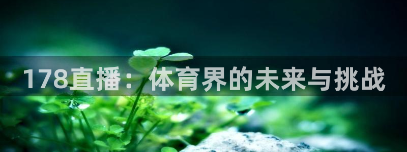 24直播网 nba直播吧