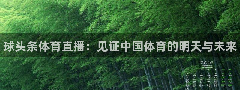 24直播网nba直播足球