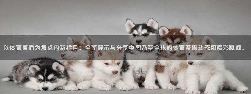nba 24直播网
